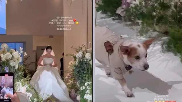 Aktris Korea Kim Ga Eun menikah. (Instagram/ ggani8918)