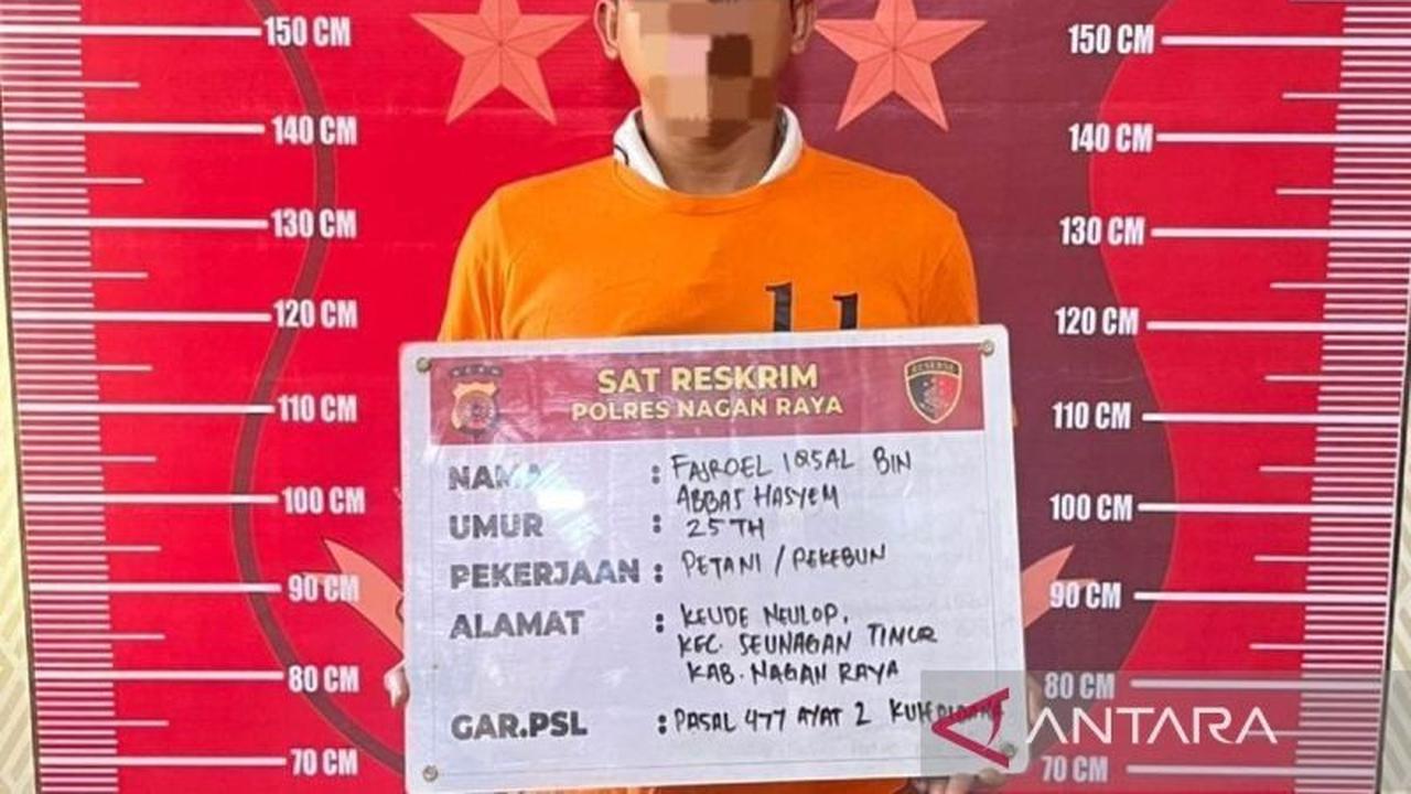 Polres Nagan Raya Tahan Centeng Diduga Pelaku Pencurian Kelapa Sawit Perusahaan