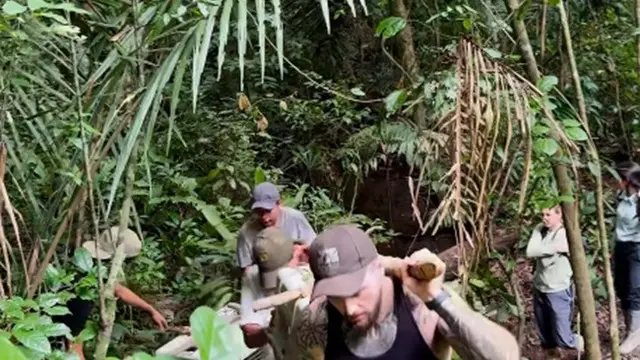 Aksi Pria Berduel dengan Anaconda Hijau
