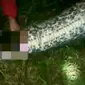 Tubuh petani lengkap dengan pakaiananya tewas di dalam perut ular piton. (Liputan 6 SCTV)