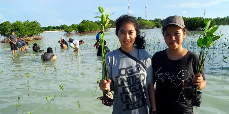 Serunya Menanam Mangrove di Kepulauan Seribu