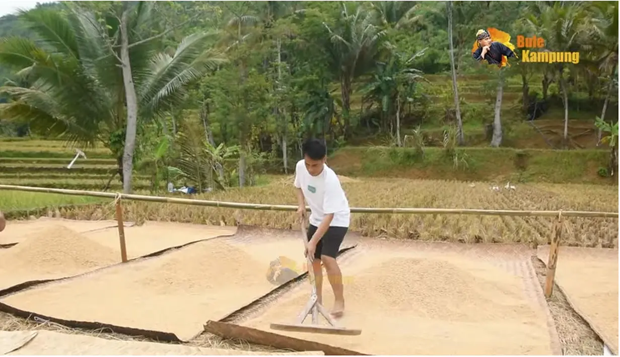 [Youtube/Village Caucasians]