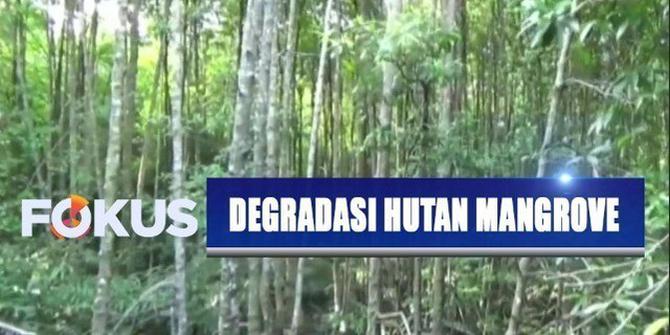 Pemerhati Lingkungan Khawatirkan Degradasi Mangrove di Calon Ibu Kota Baru