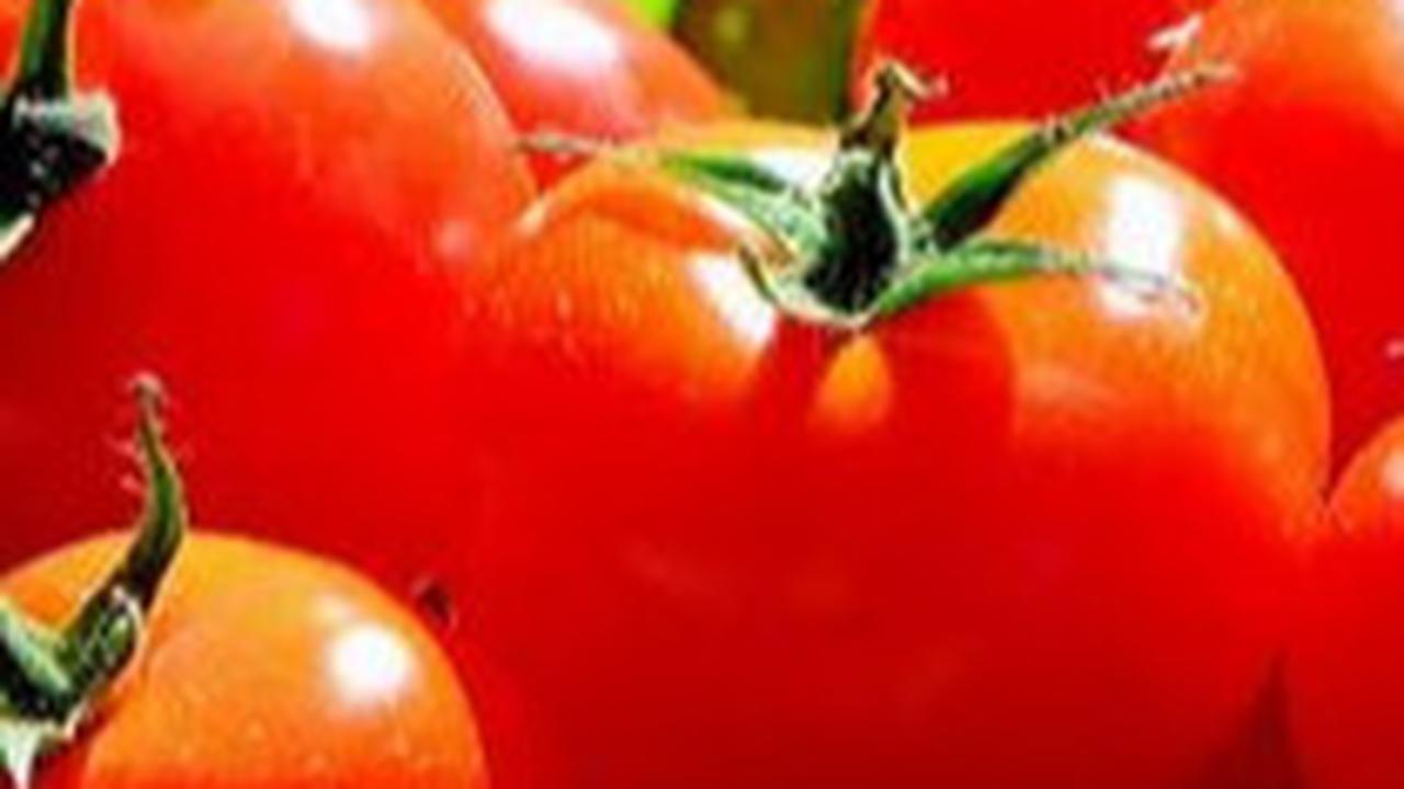 Misteri Hilangnya Buah Tomat yang Tumbuh di Luar Angkasa, Ditemukan Dua Tahun Kemudian