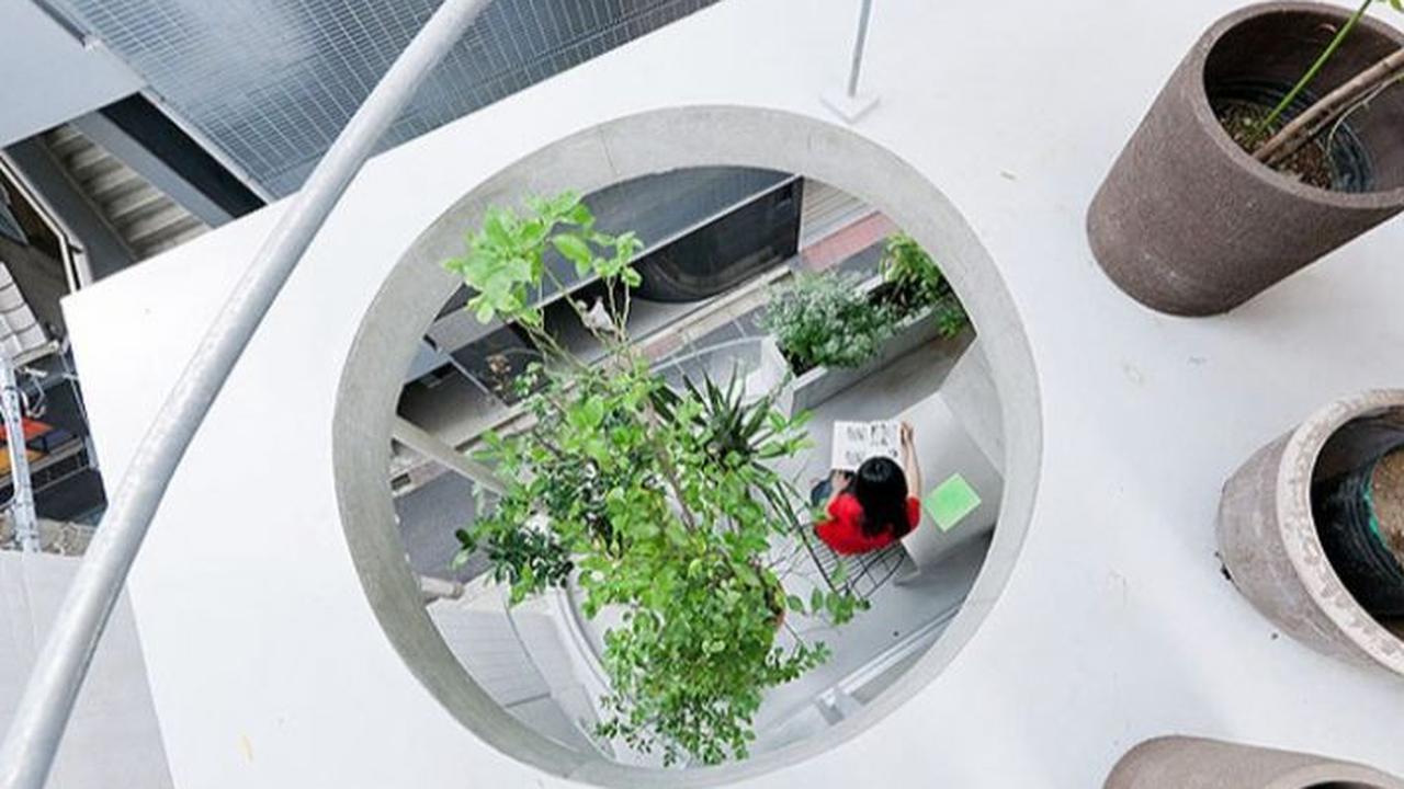 Taman Vertikal