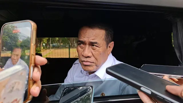 Tiga Negara Jadi Target Ekspor Beras RI, Ada Filipina-Papua Nugini
