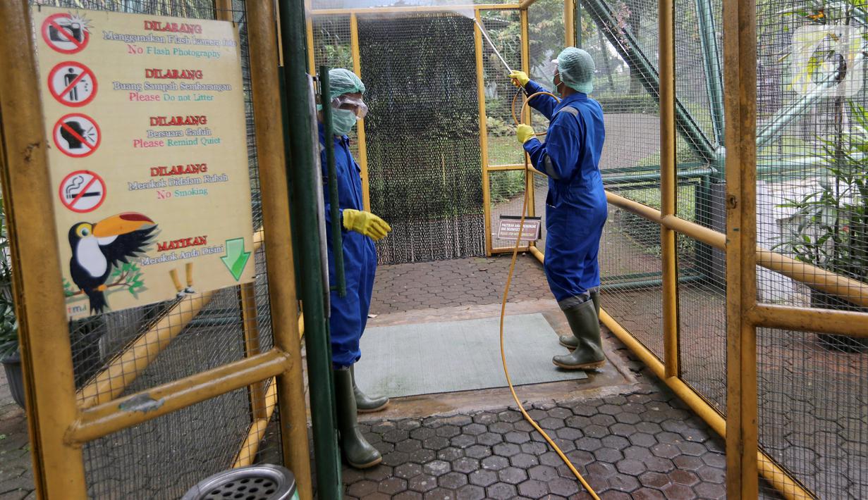 Petugas menyemprotkan cairan disinfektan di area Taman Burung, TMII Jakarta, Rabu (18/3/2020). Penyemprotan disinfektan di setiap lokasi wisata dan anjungan sebagai antisipasi terhadap penyebaran virus Corona (Covid-19). (Liputan6.com/Fery Pradolo)