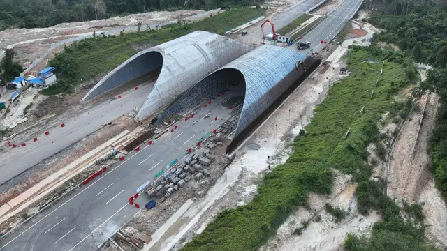 PT Waskita Karya (Persero) Tbk tengah membangun jembatan satwa di sekitar Tol IKN Seksi 3B Segmen KKT Kariangau-Simpang. (Foto:Waskita Karya)
