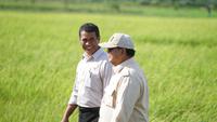 Mentan: Produksi Padi Indonesia Diproyeksi Capai 34,7 Juta Ton di Akhir 2025