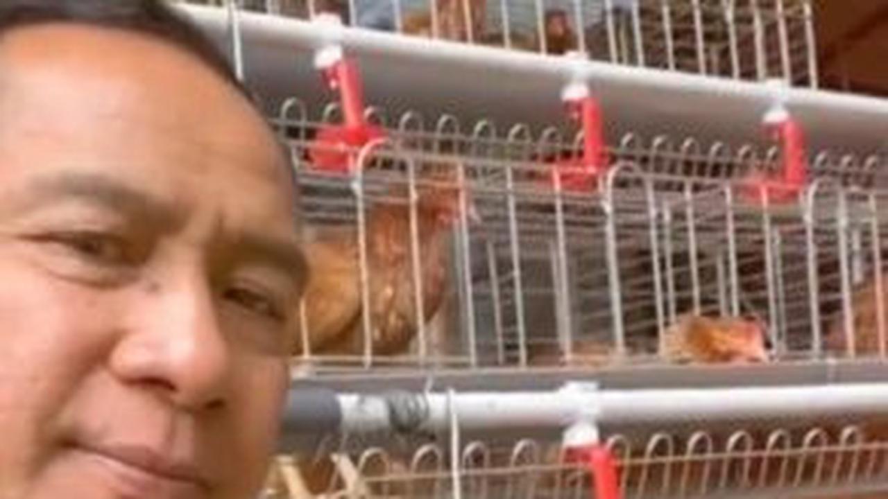 "Kita belajar ternak ayam petelor, jadi pagi-pagi mau ke kantor (bisa) ceplok telor sama nasi panas," kata Agus dalam video. <br>