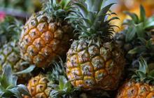 Manfaat Nanas untuk Kolesterol dan Asam Urat, Cocok Dikonsumsi Usai Menyantap Aneka Makanan Setelah  Hari Lebaran