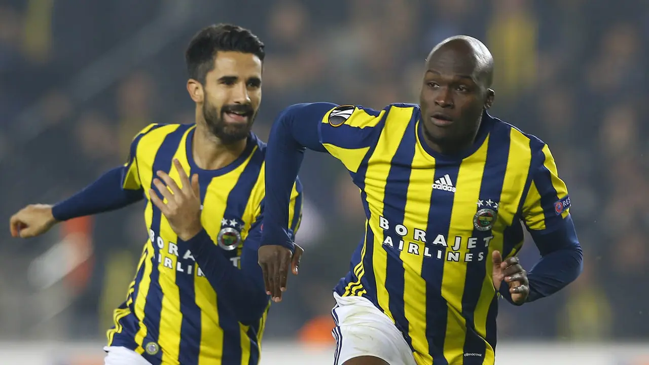 Sow