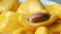 Kandungan resveratrol pada buah nangka baik untuk mengubah lemak jahat tubuh jadi baik. (Foto: wlimg.com)