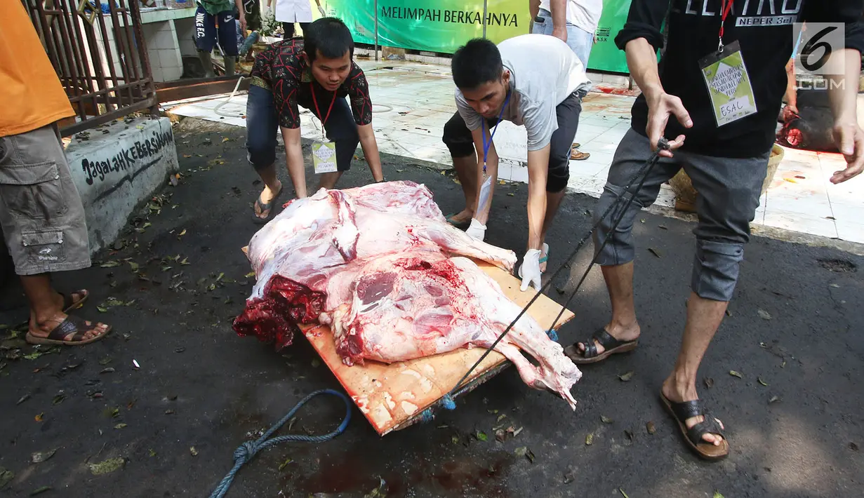 Petugas mengolah daging hewan kurban yang sudah dipotong di Masjid Sunda Kelapa, Jakarta, Jumat (1/9). Daging tersebut akan dibawgikan kepada yayasan dan warga. (Liputan6.com/Immanuel Antonius)