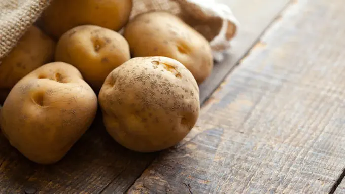 Foto: copyright thinkstockphotos.com