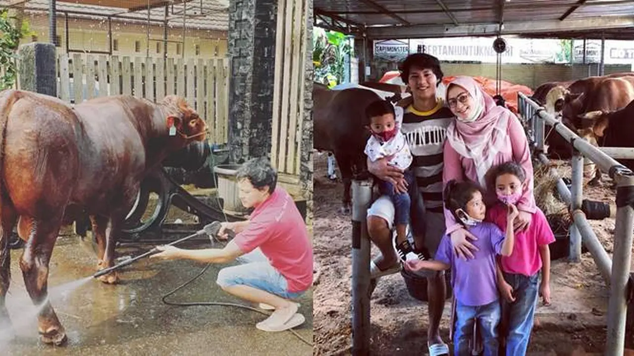 Potret Hardi Fadhillah Jadi Peternak Sapi Monster, Raup Untung Jelang Idul Adha