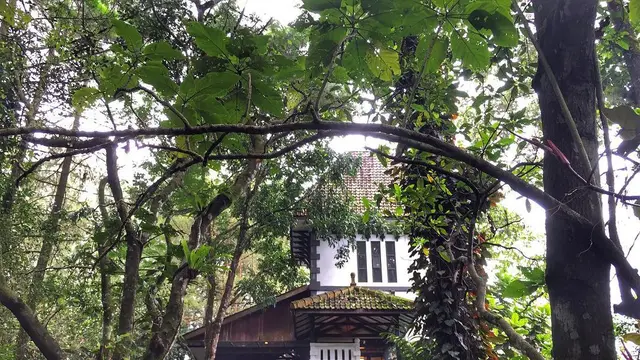 [Bintang] Yogyakarta
