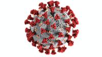 Virus corona varian baru B.1.1.529 muncul di Afrika Selatan. (pexels/cdc).