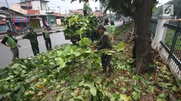 Petugas mengangkut batang dan daun pohon usai ditebang di kawasan Tanjung Barat, Jakarta, Kamis (16/11). Penebangan dilakukan sebagai langkah antisipasi untuk mencegah pohon agar tidak tumbang saat hujan. (iputan6.com/Immanuel Antonius)