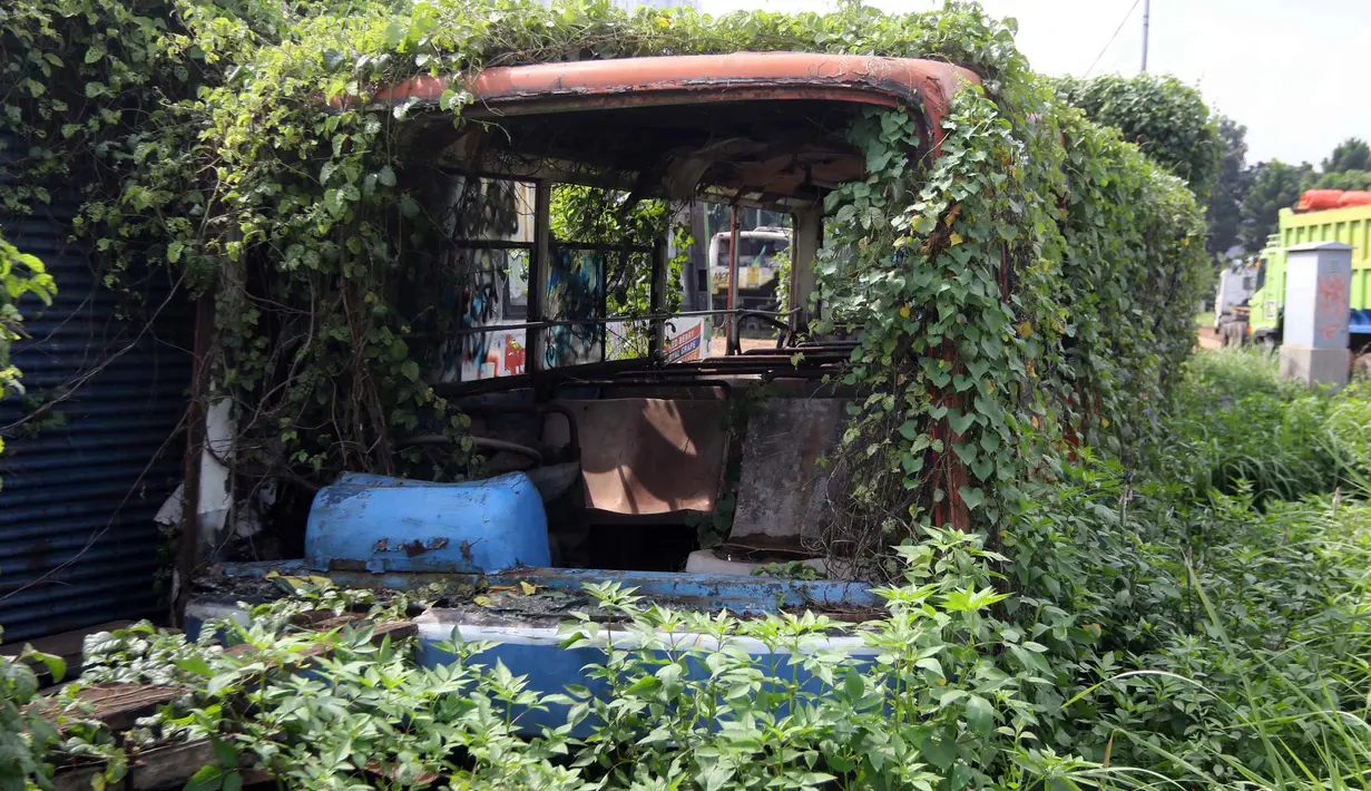 Tanaman menutupi bangkai bus Metromini di Pool Bus Dishub DKI Jakarta, Jumat (23/3). Bus Metromini yang rusak dan tak layak mulai digantikan oleh angkutan umum Minitrans dan Metrotrans. (Liputan6.com/Arya Manggala)