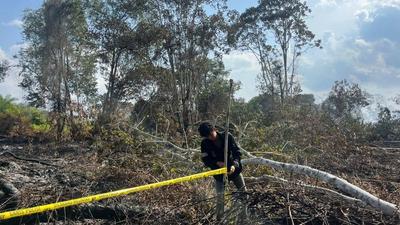 Polres Pelalawan Tetapkan S sebagai Tersangka Pembakar Lahan Hutan untuk Sawit