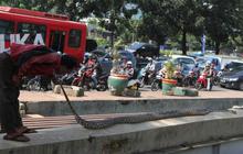 Ular sanca 6 meter ditemukan di Jalan Jenderal Sudirman