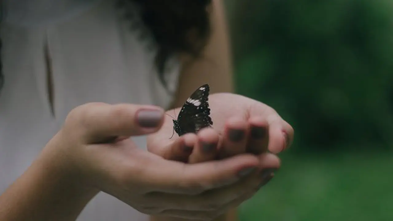 Ilustrasi./Copyright unsplash.com/john reign abarintos