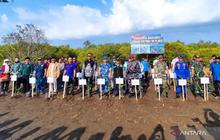 Trivia Tsunami Aceh 2004 Ungkap Pentingnya Mangrove, Lanal Mataram Gencarkan Jaga Ekosistem Perairan NTB