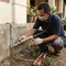 9 Cara Atasi Rayap di Rumah, Cegah Kerusakan Makin Parah