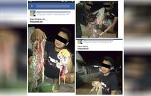 Lagi, Facebooker pamer foto bantai kucing hutan