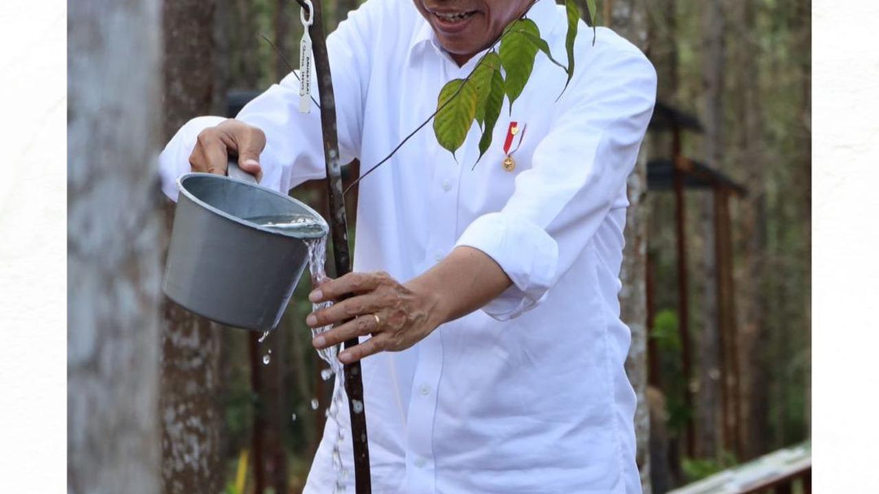 Wujudkan Kota Hutan Hujan Tropis yang Inklusif, Pemerintah Mulai Kegiatan Reforestasi IKN