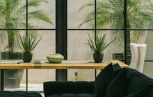 Inspirasi Jendela Minimalis Modern untuk Rumah Idaman