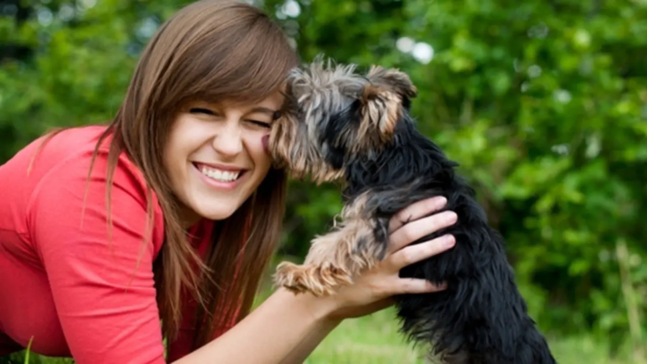 Copyright by Thinkstock.com