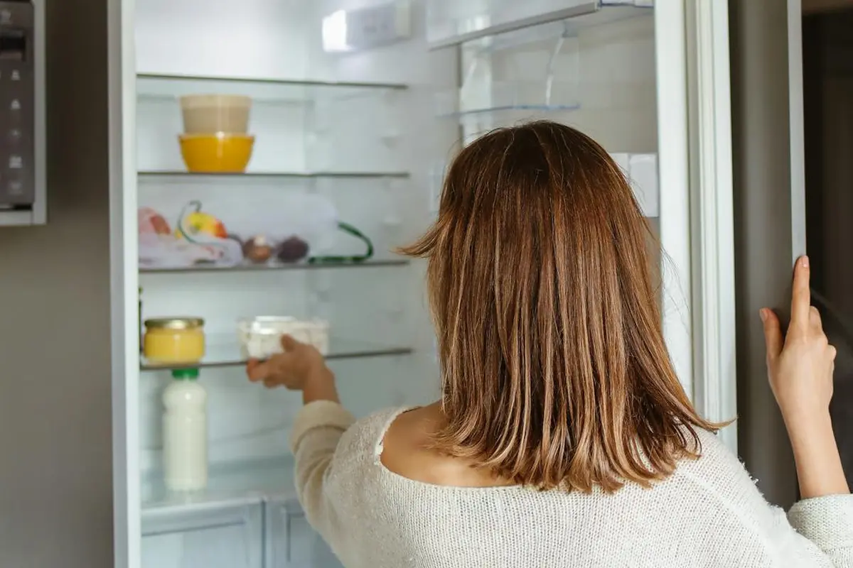 Tips Membersihkan Kulkas agar Bebas dari Bau Tak Sedap dan Jaga Kualitas Makanan yang Disimpan