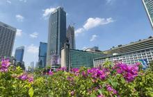 Daftar Bank RI yang Masuk World’s Best Banks versi Forbes 2026
