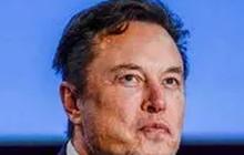 Luhut Harap Elon Musk ke Indonesia Oktober 2023, Buat Tesla?