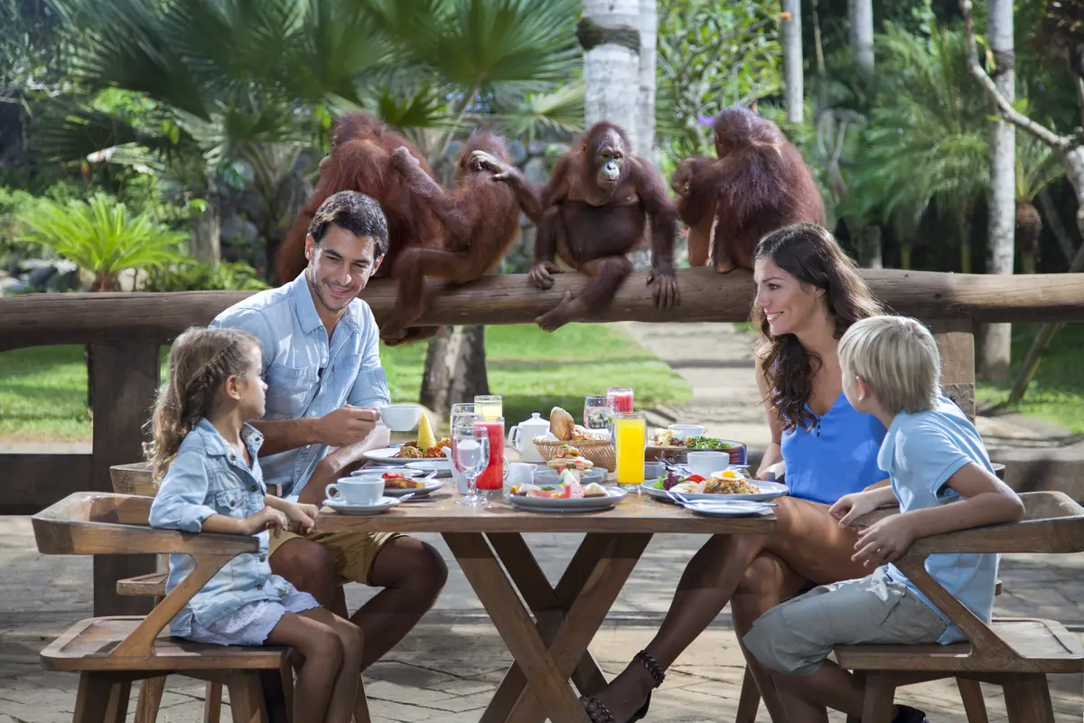Sarapan bersama orang utan