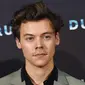 Jadi bagaimana menurutmu jika Harry Styles memerankan James Bond? (FRANCOIS LO PRESTI / AFP)