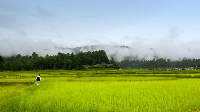 Ziro Valley