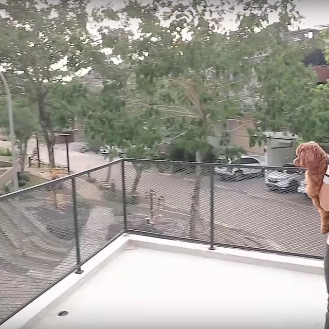 Immanuel Caesar Hito