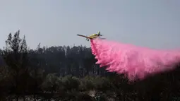 Dinas Pemadam Kebakaran dan Penyelamatan Israel mengatakan sekitar 120 anggota tim, 12 pesawat pemadam kebakaran dan helikopter dikerahkan untuk memadamkan api. (Ahmad GHARABLI/AFP)