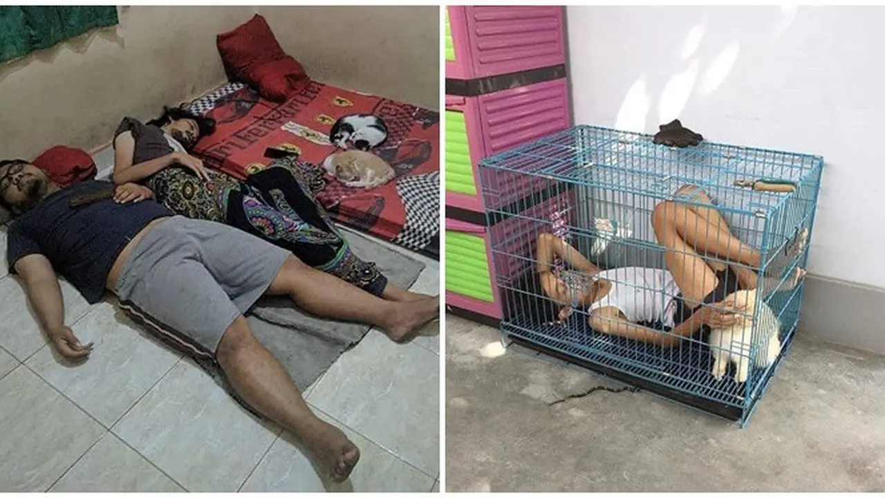 Kelakuan Orang Kelewat Sayang dengan Kucing Ini Bikin Geleng-Geleng