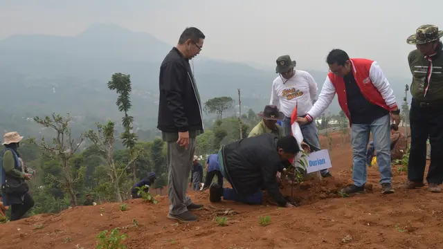 penanaman bibit pohon