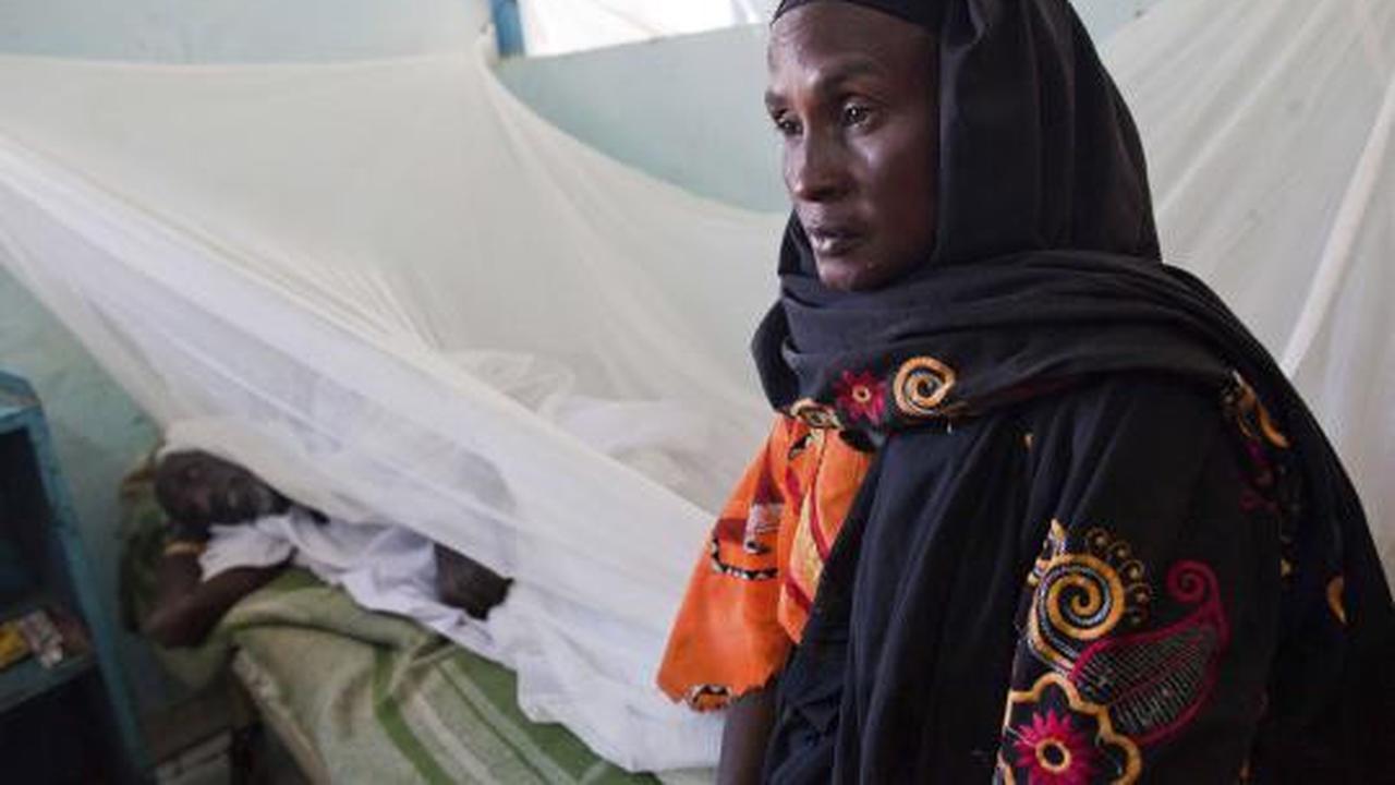 Wabah demam kuning di Sudan semakin parah