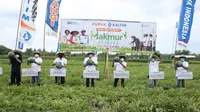 Program Makmur PT Pupuk Kalimantan Timur (Pupuk Kaltim) di Jember, Jawa Timur