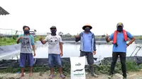 Berkah Ramadan, Hasil Panen Peternak Udang Akan Meningkat