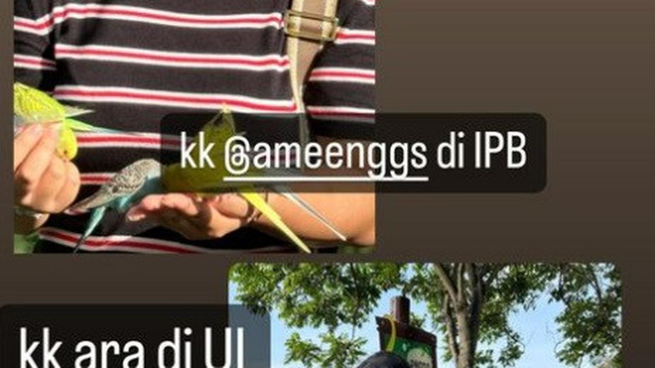 Ara Mengikuti Jejak Sang Kakak
