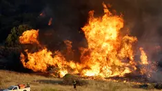 Petugas damkar berusaha memadamkan kobaran api yang membakar lahan di daerah Kalyvia, dekat Athena, Yunani, Senin (31/7). Lahan luas berjarak 30 kilometer dari kota Athena itu terbakar pada malam waktu setempat. (AP/Thanassis Stavrakis)