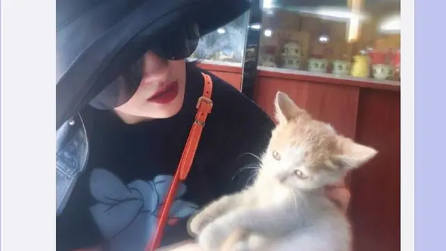 Sosok Liu Yifei, Si Cantik Pemeran Mulan yang Cinta Kucing