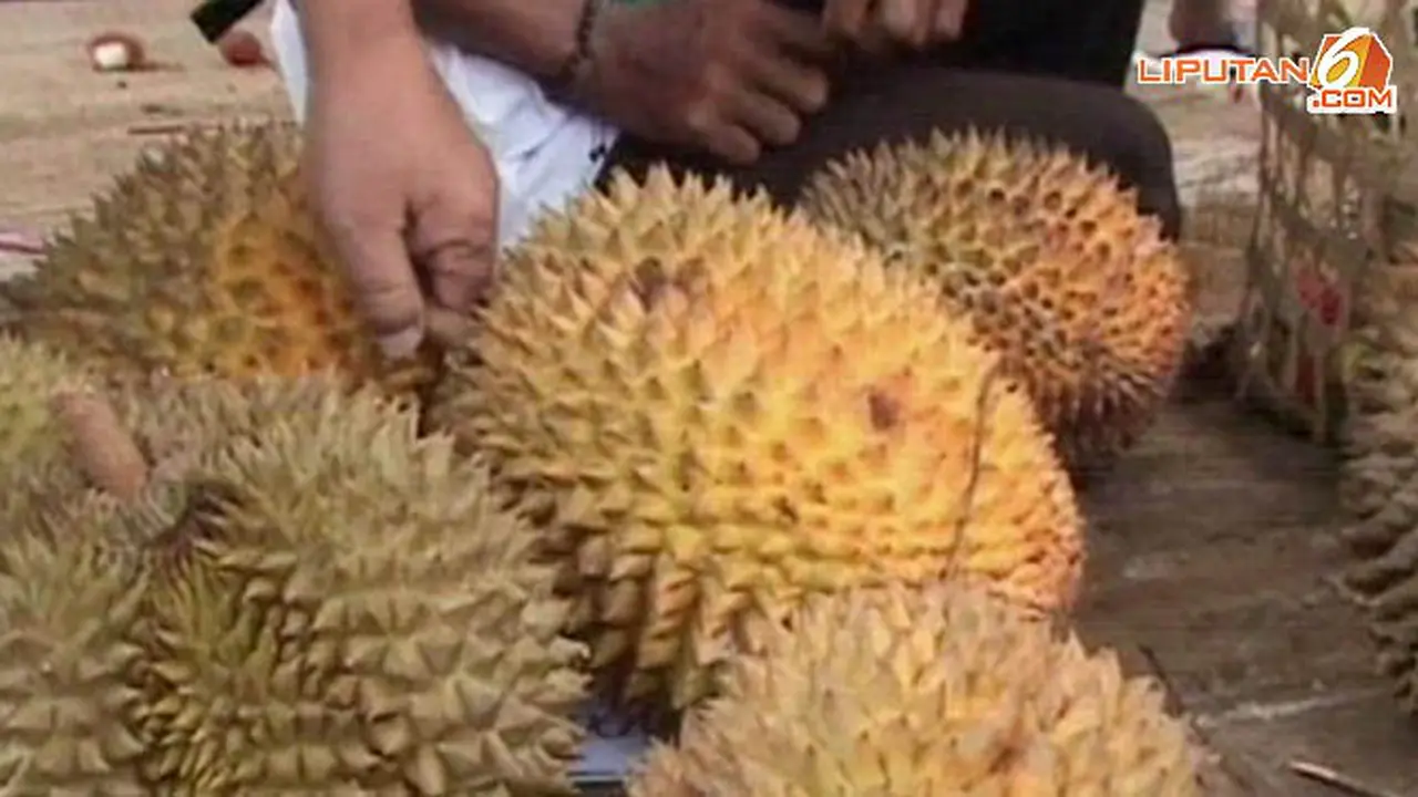 durian-140210a.jpg
